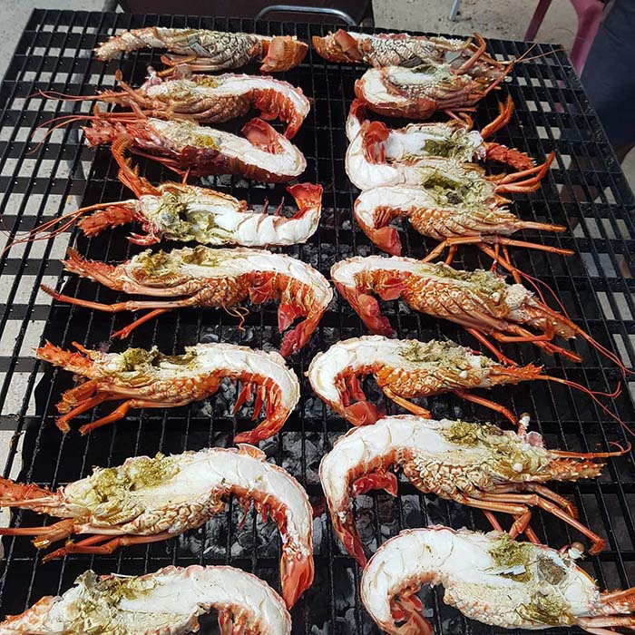 Excursion en mer avec déjeuner