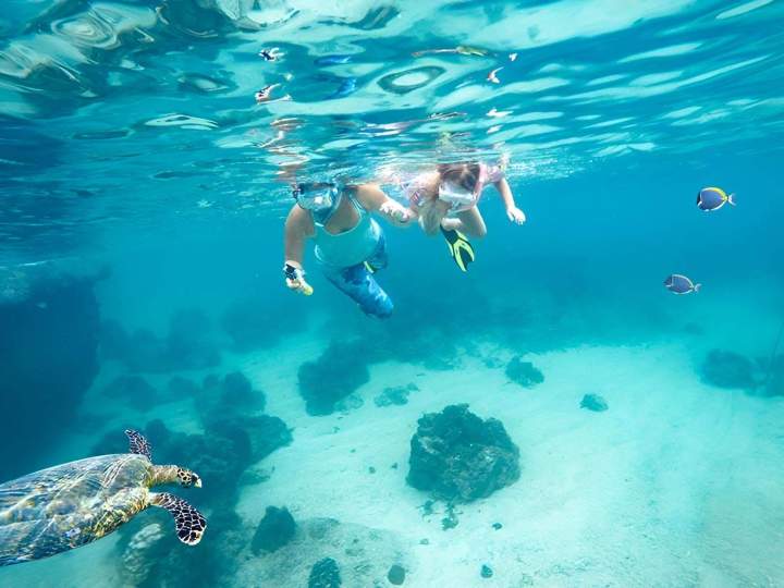 Snorkeling Sainte-Anne