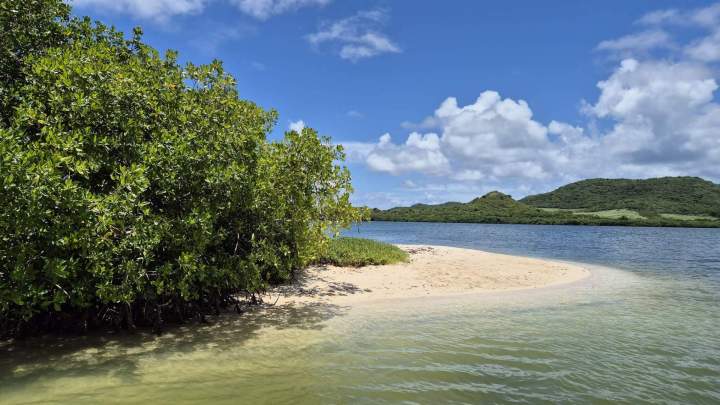 Réserve naturelle Sainte-Anne