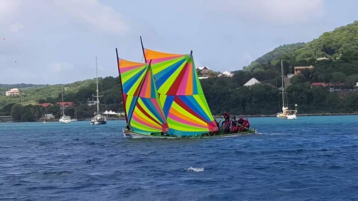 Course de yoles à Sainte-Anne