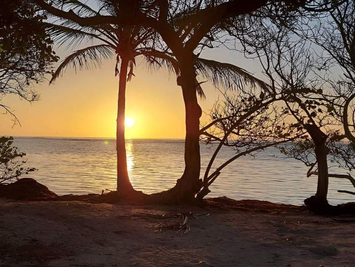 Balade sur la plage Sainte-Anne
