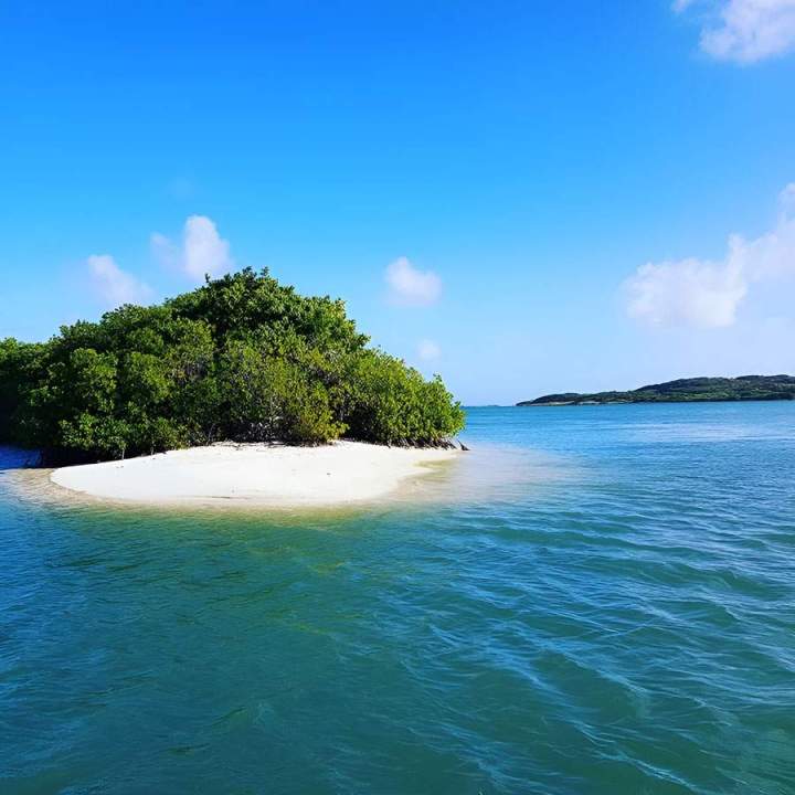 Visite guidée réserve naturelle Sainte-Anne