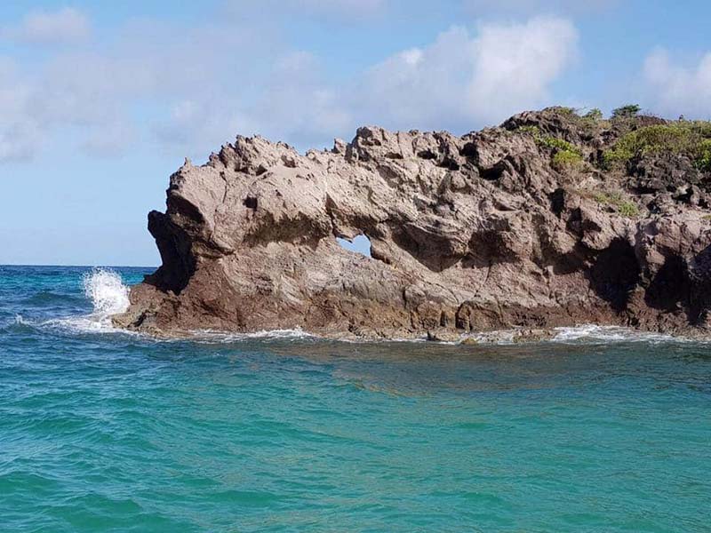 Visite guidée réserve naturelle