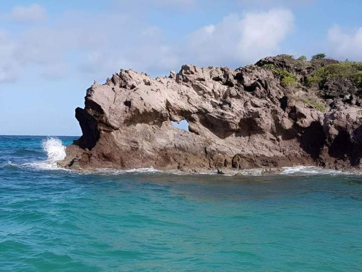 Visite guidée réserve naturelle Sainte-Anne