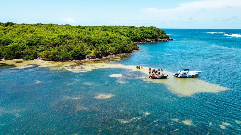 Visite guidée réserve naturelle