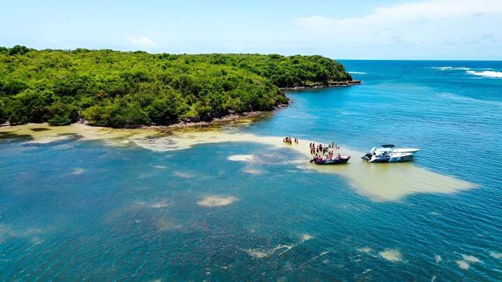 Découverte de la réserve naturelle à Sainte-Anne