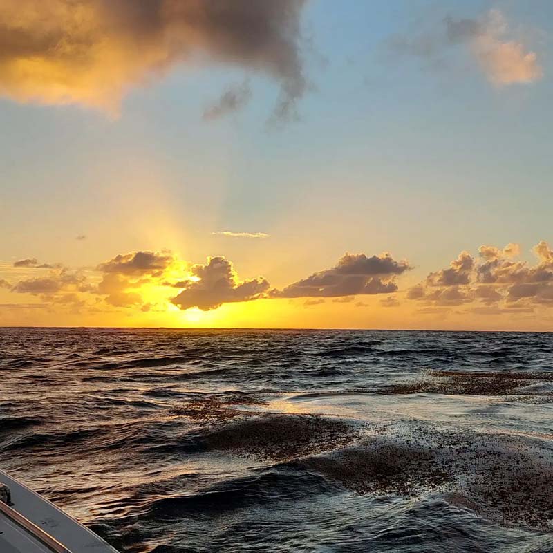 Excursion en mer avec déjeuner