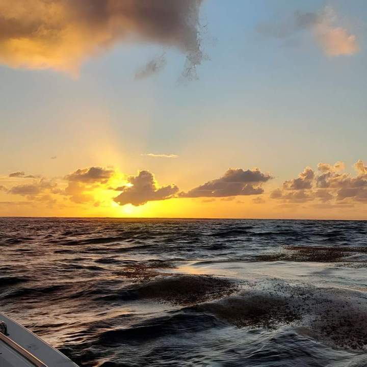 Sortie en mer Sainte-Anne